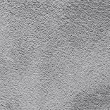 Wealthy Gathering carpet - 095